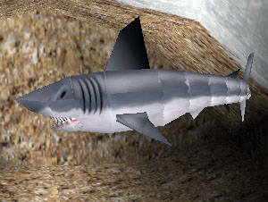 Datei:Shark gm.jpg